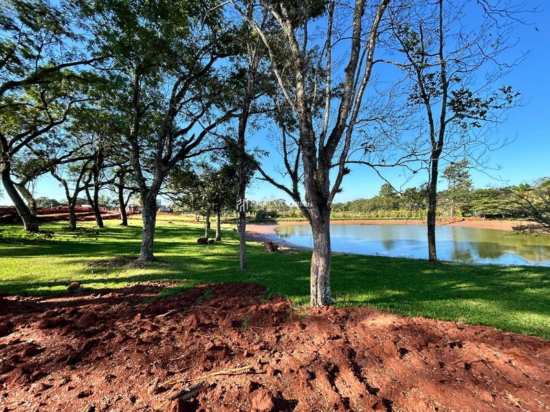 TERRENO: 10ª foto da galeria de imagens do imóvel