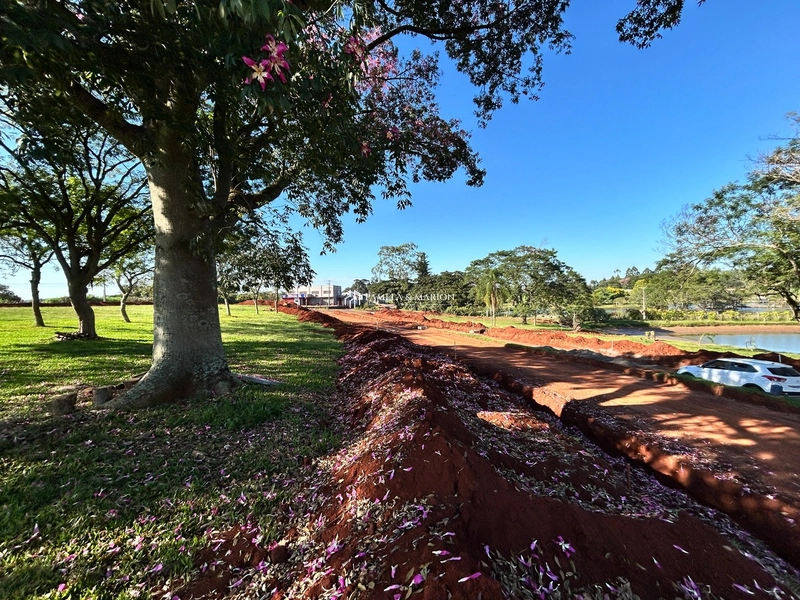 TERRENO: 3ª foto da galeria de imagens do imóvel