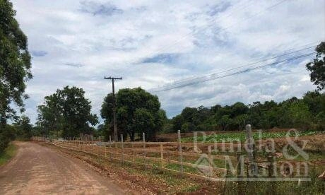 ÁREA DE TERRA: 6ª foto da galeria de imagens do imóvel