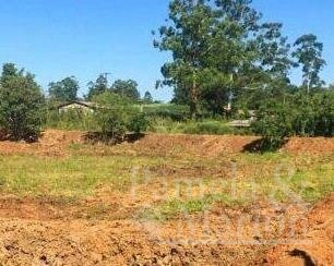 ÁREA DE TERRA: 5ª foto da galeria de imagens do imóvel