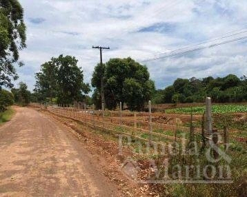 ÁREA DE TERRA: 3ª foto da galeria de imagens do imóvel