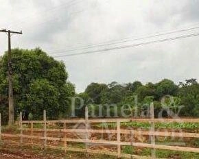 ÁREA DE TERRA: 2ª foto da galeria de imagens do imóvel