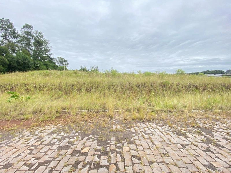 TERRENO: 1ª foto da galeria de imagens do imóvel