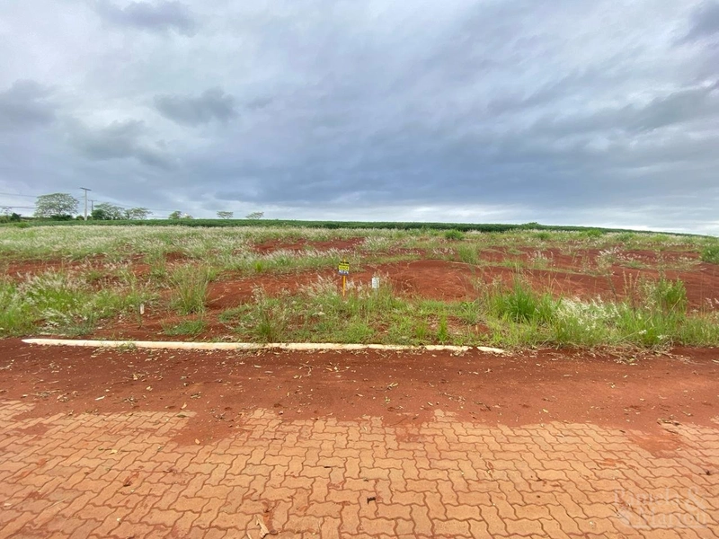 TERRENO: 1ª foto da galeria de imagens do imóvel