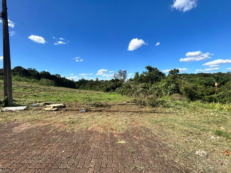 TERRENO COMERCIAL: 1ª foto da galeria de imagens do imóvel