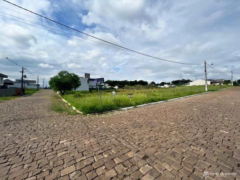 TERRENO: 1ª foto da galeria de imagens do imóvel