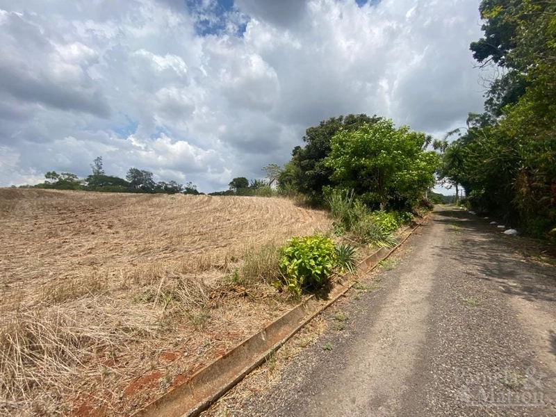 TERRENO COMERCIAL: 1ª foto da galeria de imagens do imóvel