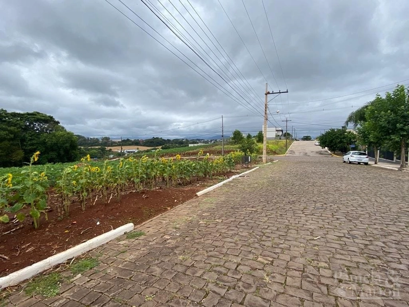 TERRENO: 2ª foto da galeria de imagens do imóvel