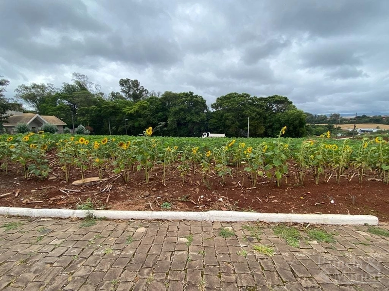 TERRENO: 1ª foto da galeria de imagens do imóvel