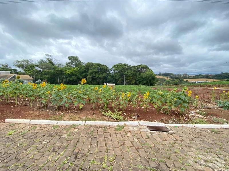 TERRENO: 1ª foto da galeria de imagens do imóvel