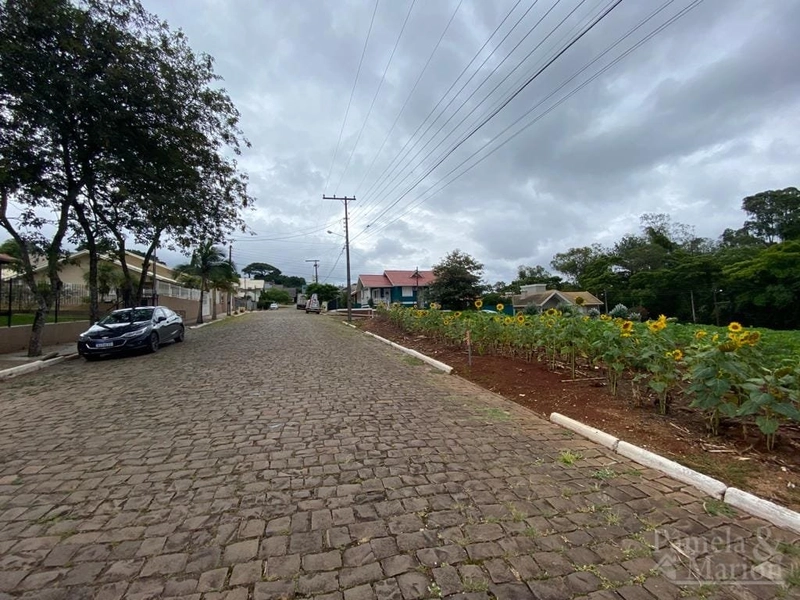TERRENO: 3ª foto da galeria de imagens do imóvel