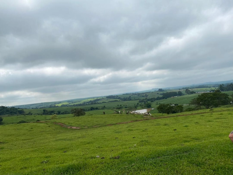 : 9ª foto da galeria de imagens do imóvel