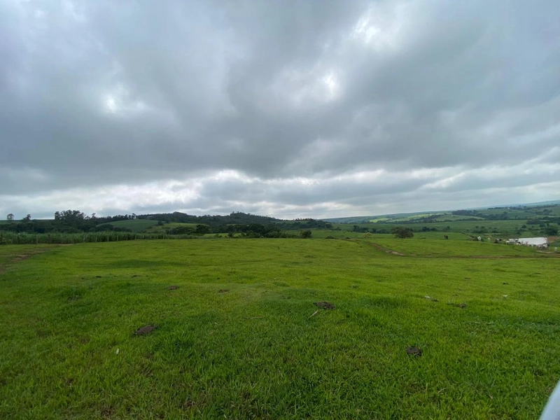 : 8ª foto da galeria de imagens do imóvel