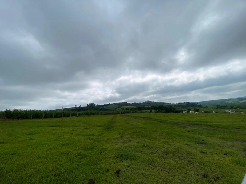 : 1ª foto da galeria de imagens do imóvel