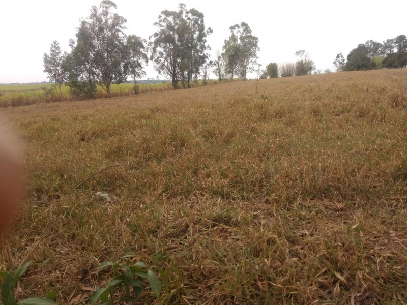 : 16ª foto da galeria de imagens do imóvel