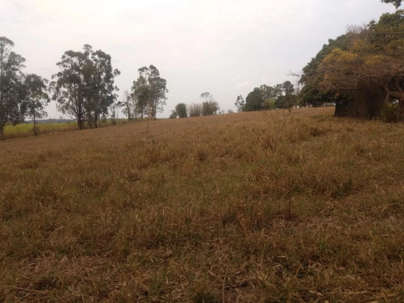 : 19ª foto da galeria de imagens do imóvel