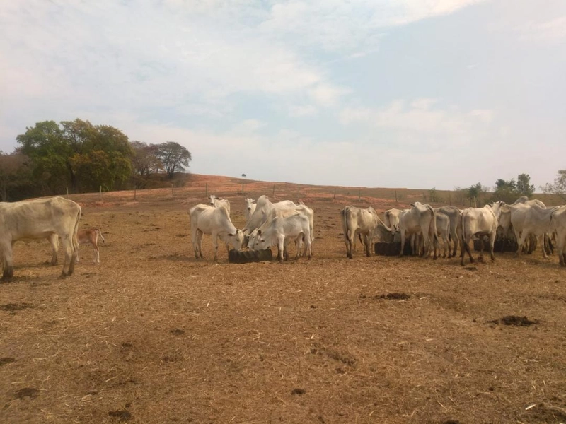 : 15ª foto da galeria de imagens do imóvel