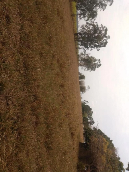 : 3ª foto da galeria de imagens do imóvel