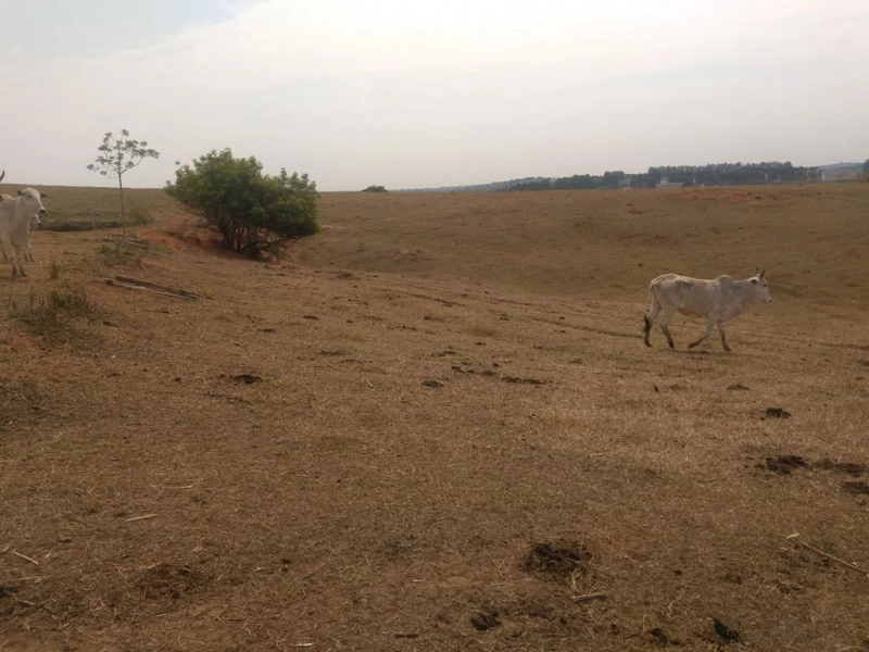 : 11ª foto da galeria de imagens do imóvel