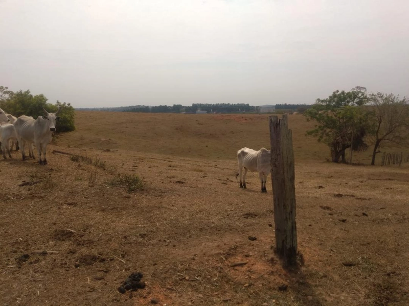 : 6ª foto da galeria de imagens do imóvel