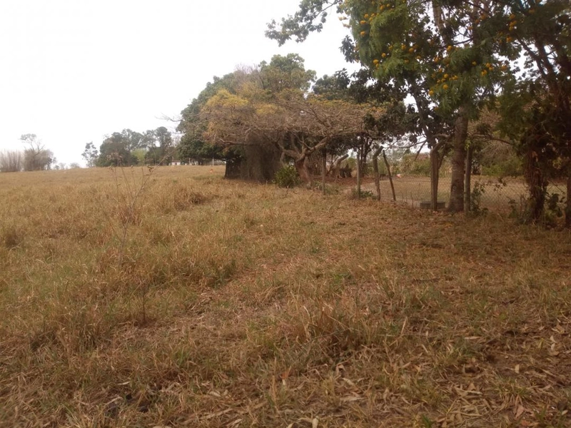 : 20ª foto da galeria de imagens do imóvel