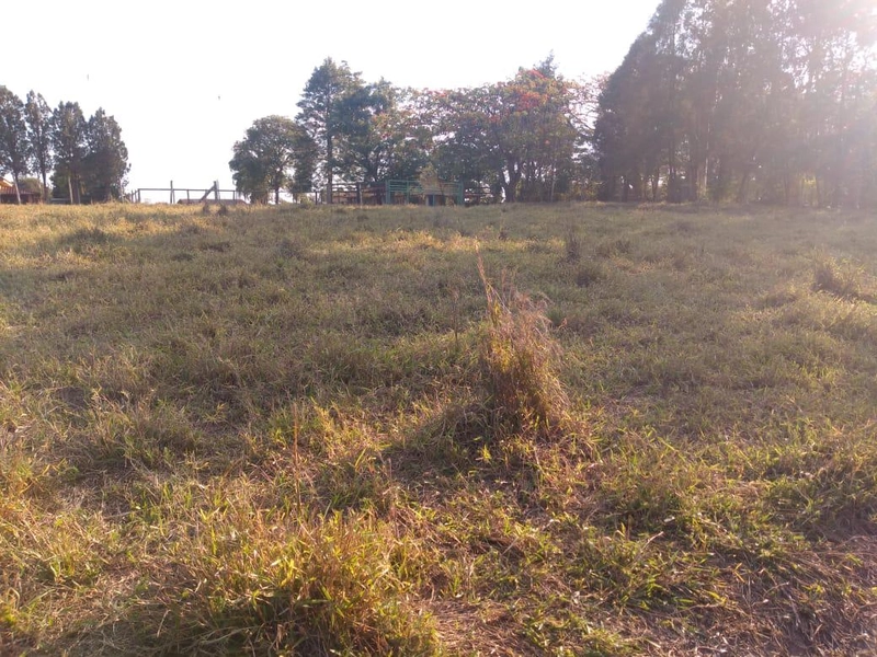 : 18ª foto da galeria de imagens do imóvel