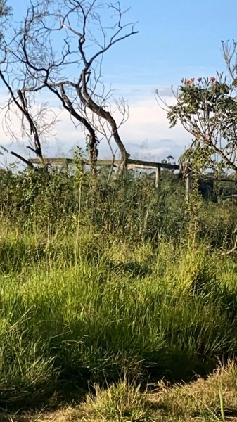 : 4ª foto da galeria de imagens do imóvel