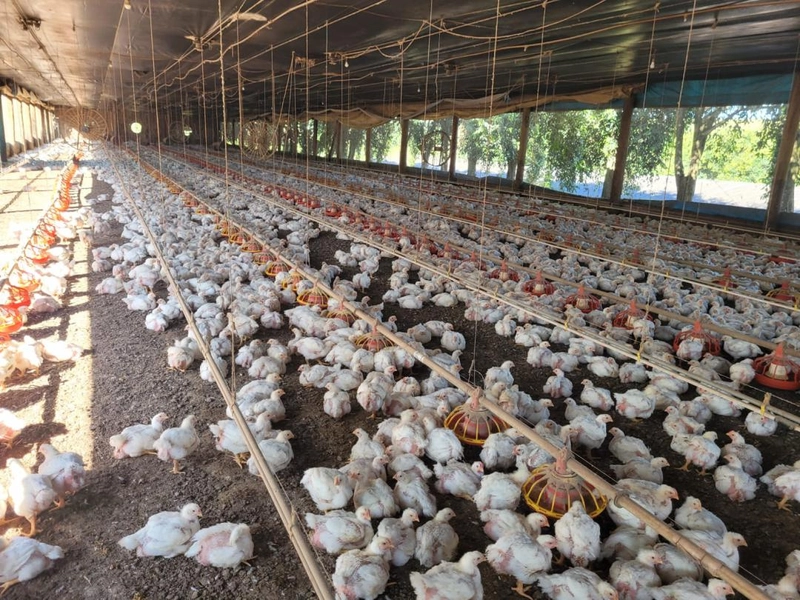 : 15ª foto da galeria de imagens do imóvel