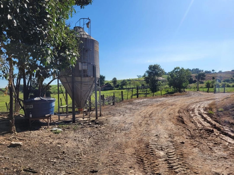 : 11ª foto da galeria de imagens do imóvel