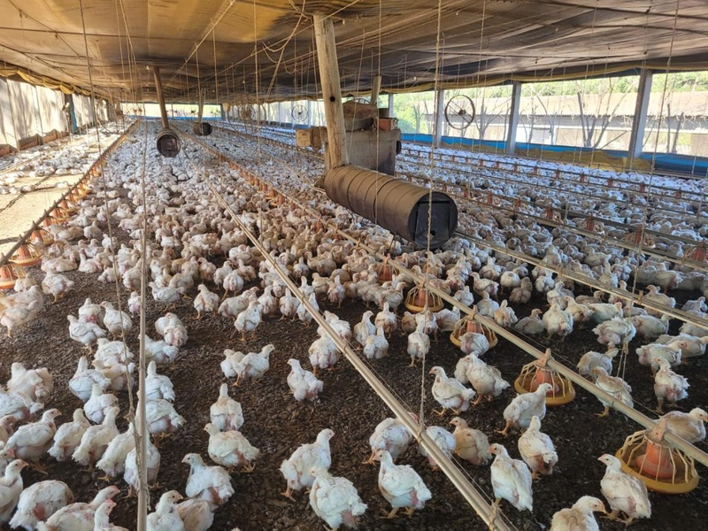 : 13ª foto da galeria de imagens do imóvel