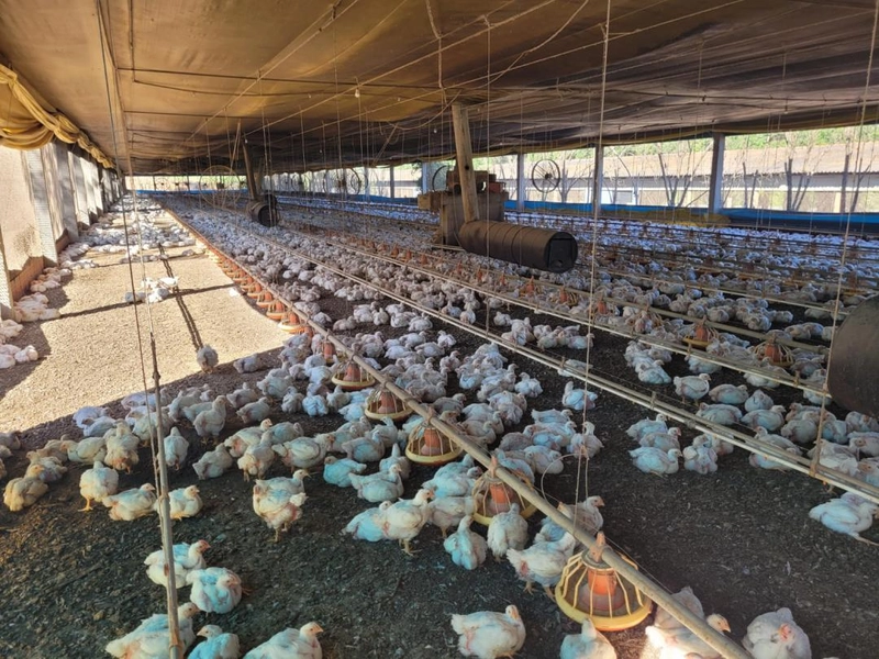 : 17ª foto da galeria de imagens do imóvel