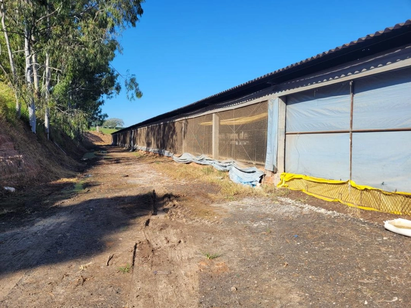 : 18ª foto da galeria de imagens do imóvel