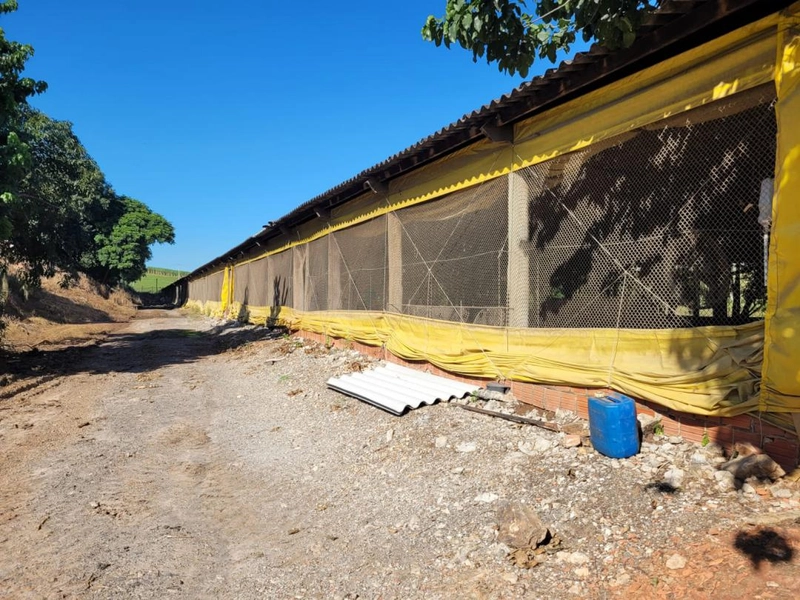 : 12ª foto da galeria de imagens do imóvel