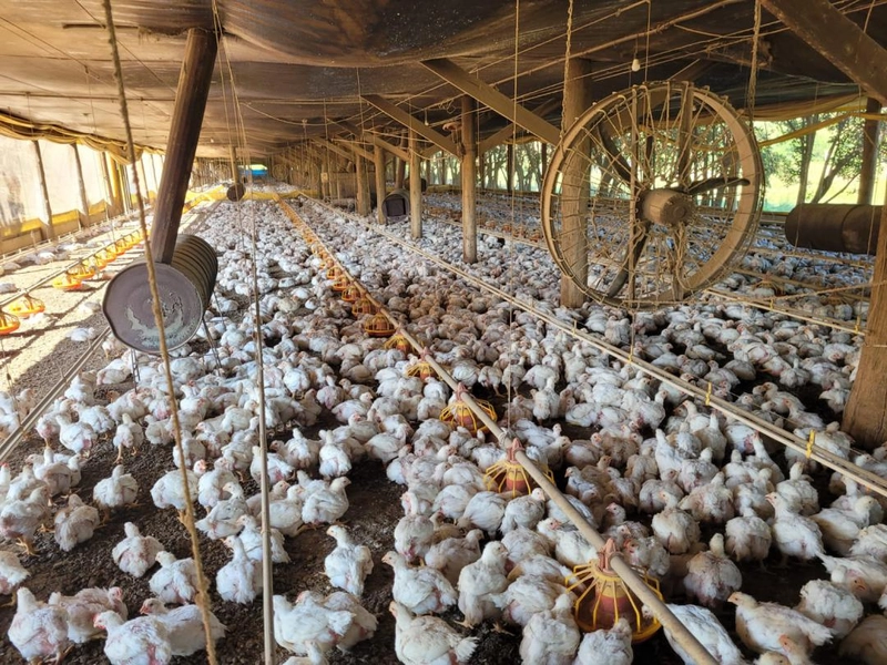 : 16ª foto da galeria de imagens do imóvel