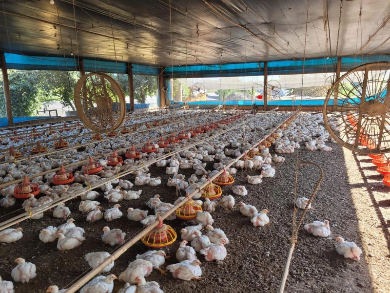 : 14ª foto da galeria de imagens do imóvel