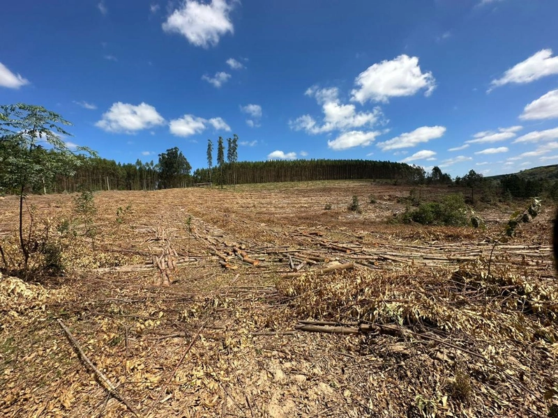 : 9ª foto da galeria de imagens do imóvel