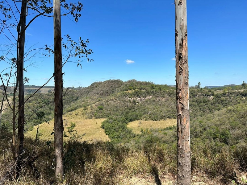 : 4ª foto da galeria de imagens do imóvel