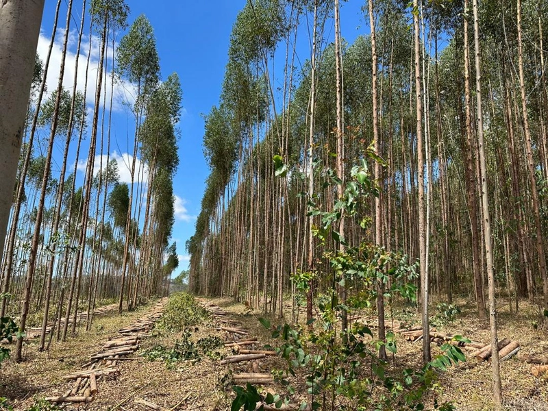 : 3ª foto da galeria de imagens do imóvel