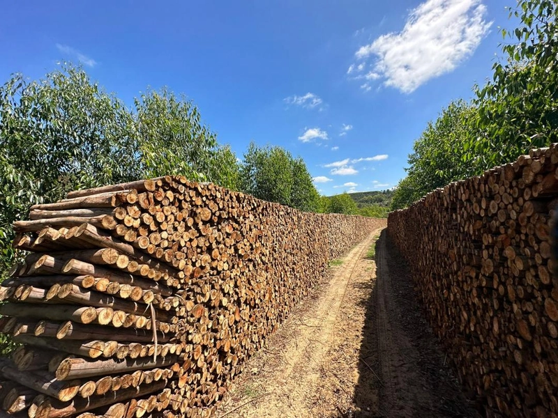 : 7ª foto da galeria de imagens do imóvel