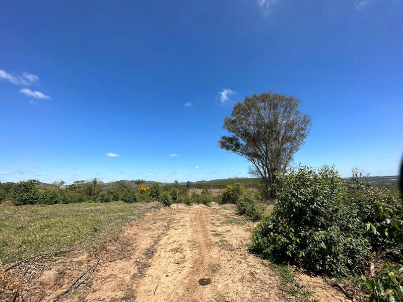 : 8ª foto da galeria de imagens do imóvel