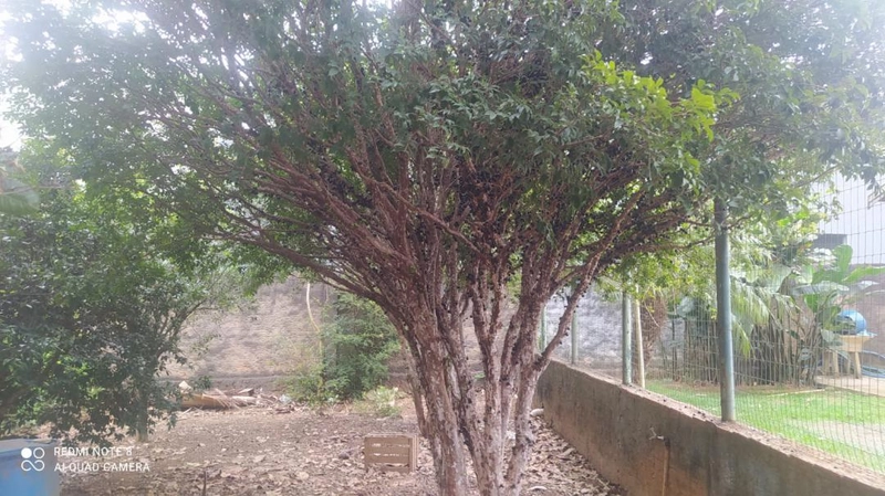 : 46ª foto da galeria de imagens do imóvel