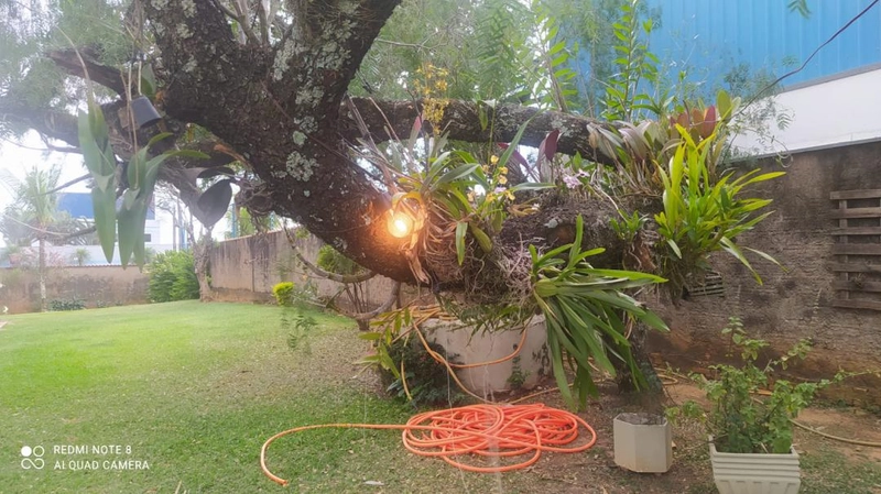 : 49ª foto da galeria de imagens do imóvel