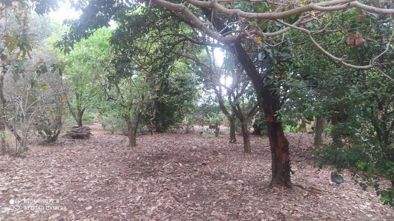 : 45ª foto da galeria de imagens do imóvel