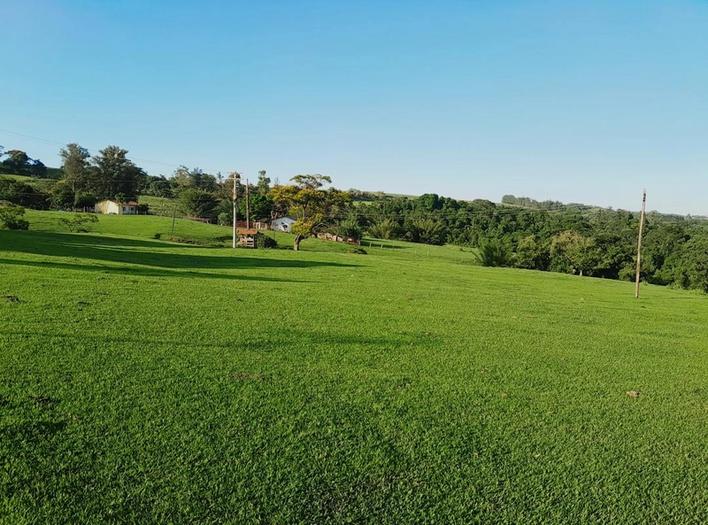 : 13ª foto da galeria de imagens do imóvel