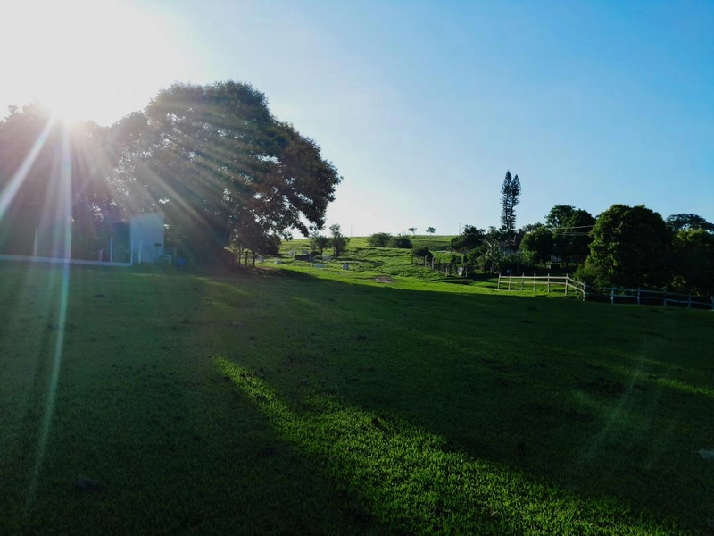 : 7ª foto da galeria de imagens do imóvel