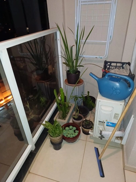 : 11ª foto da galeria de imagens do imóvel