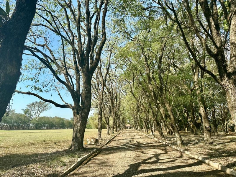 : 3ª foto da galeria de imagens do imóvel