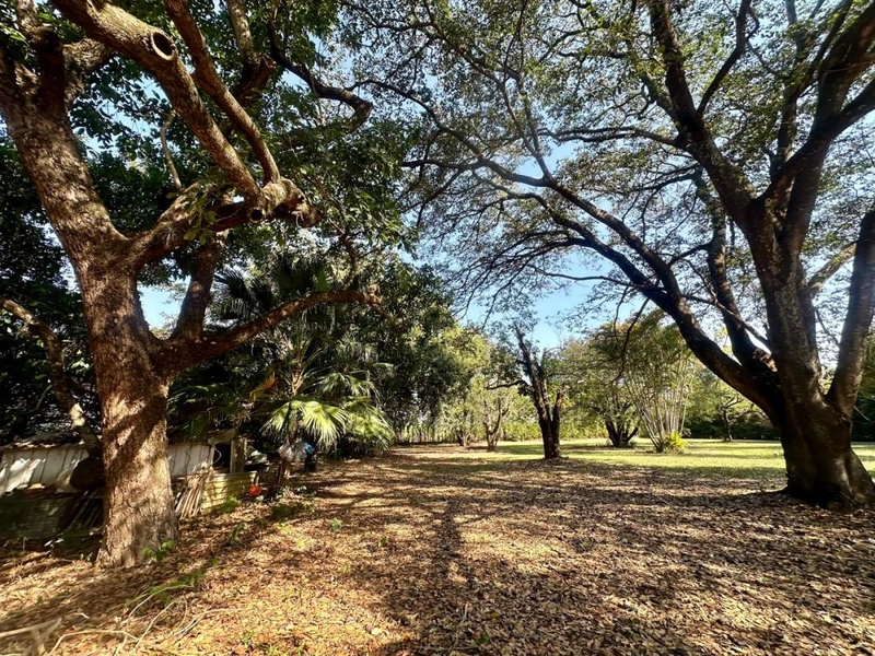 : 11ª foto da galeria de imagens do imóvel