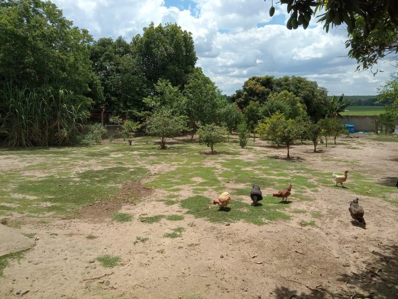 : 16ª foto da galeria de imagens do imóvel