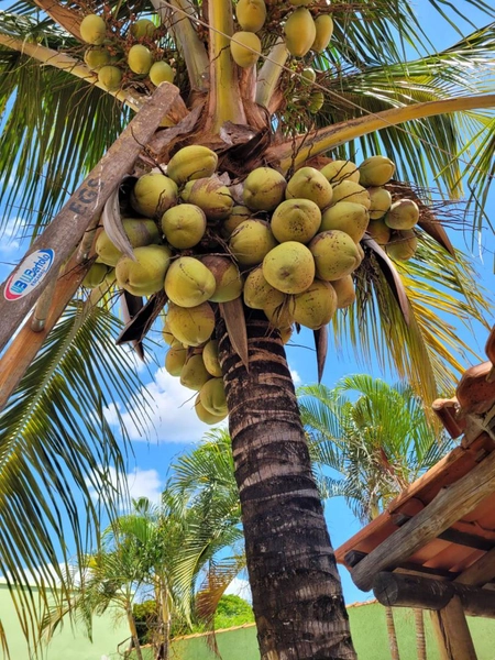 : 9ª foto da galeria de imagens do imóvel